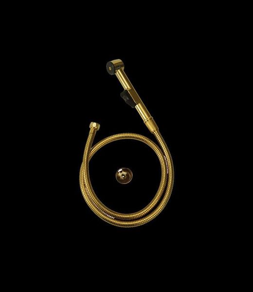 Sonex Gold Toilet shower with pipe – 510