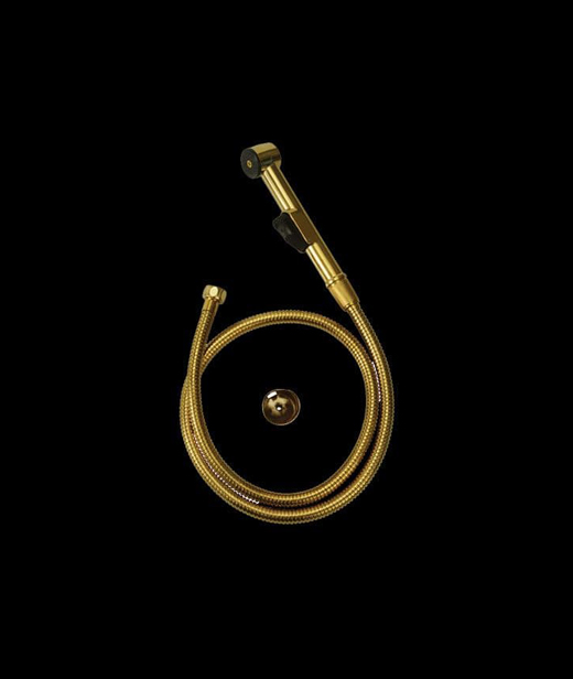 Sonex Gold Toilet shower with pipe – 510