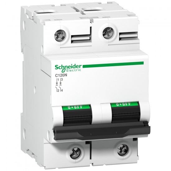Schneider Electric Circuit Breakers C Curve Series Acti9 C120N 2P Miniature Circuit breaker – A9N18359 125A